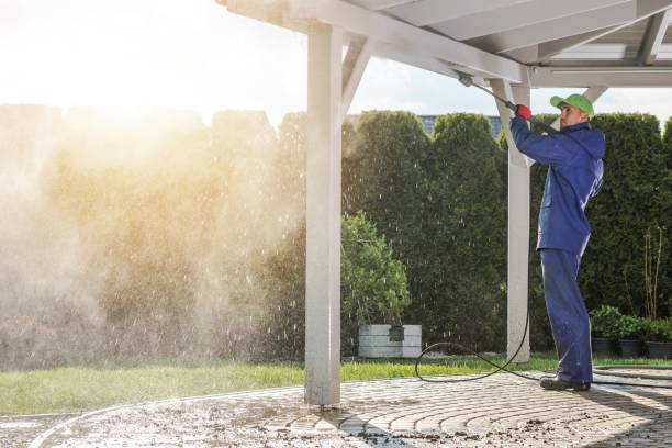 Best Solar Panel Cleaning  in Dover, FL